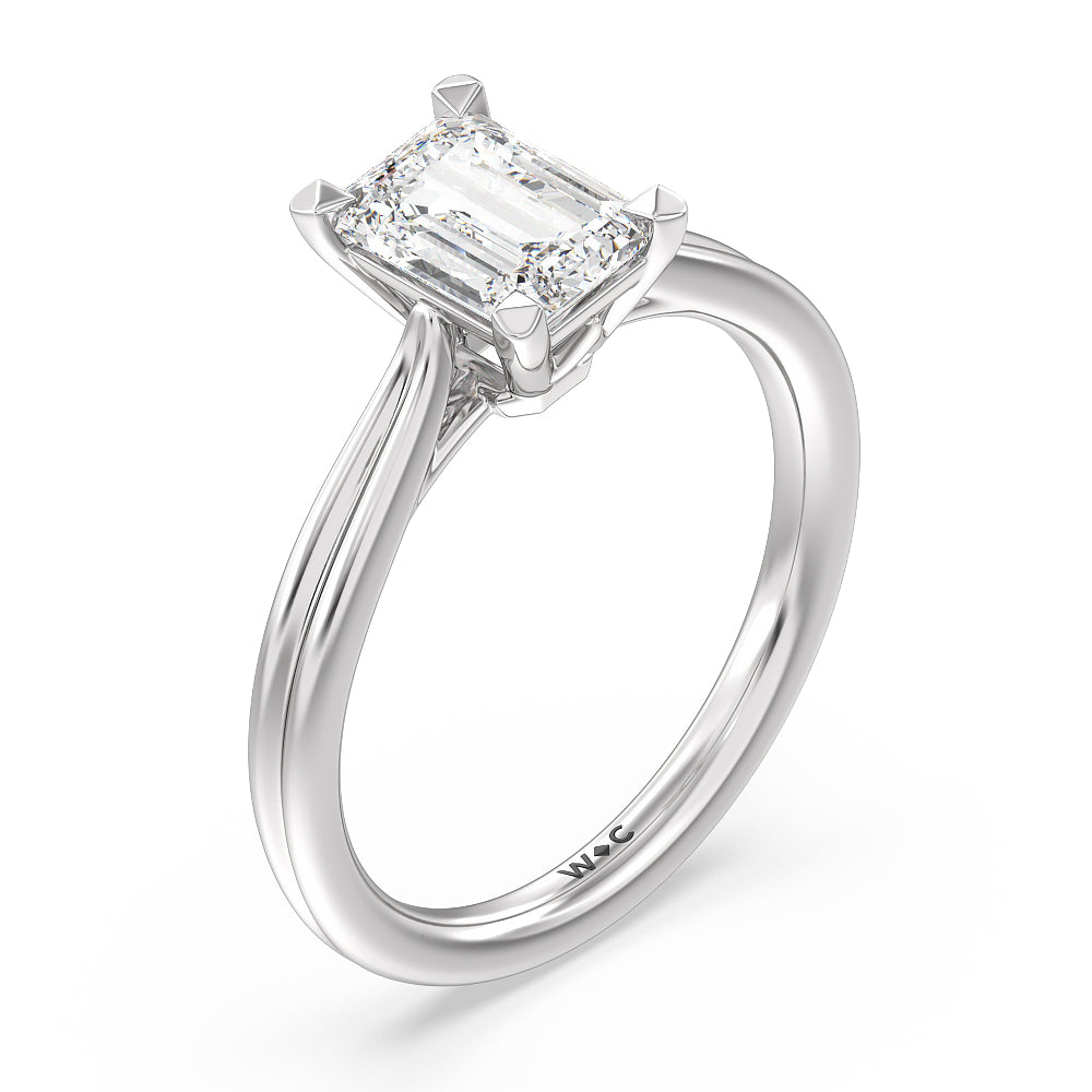 Emerald Cut Grooved Taper Cathedral Solitaire Engagement Ring with Lab Grown Diamond in 14KT Platinum view 3
