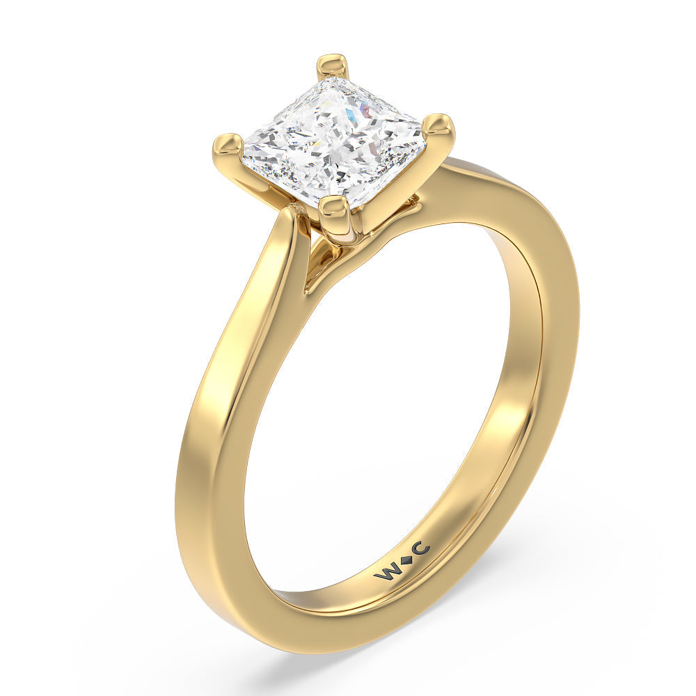 Medi Sleek Cathedral Solitaire Engagement Ring with Princess Cut Diamond in 14KT Yellow Gold view 3
