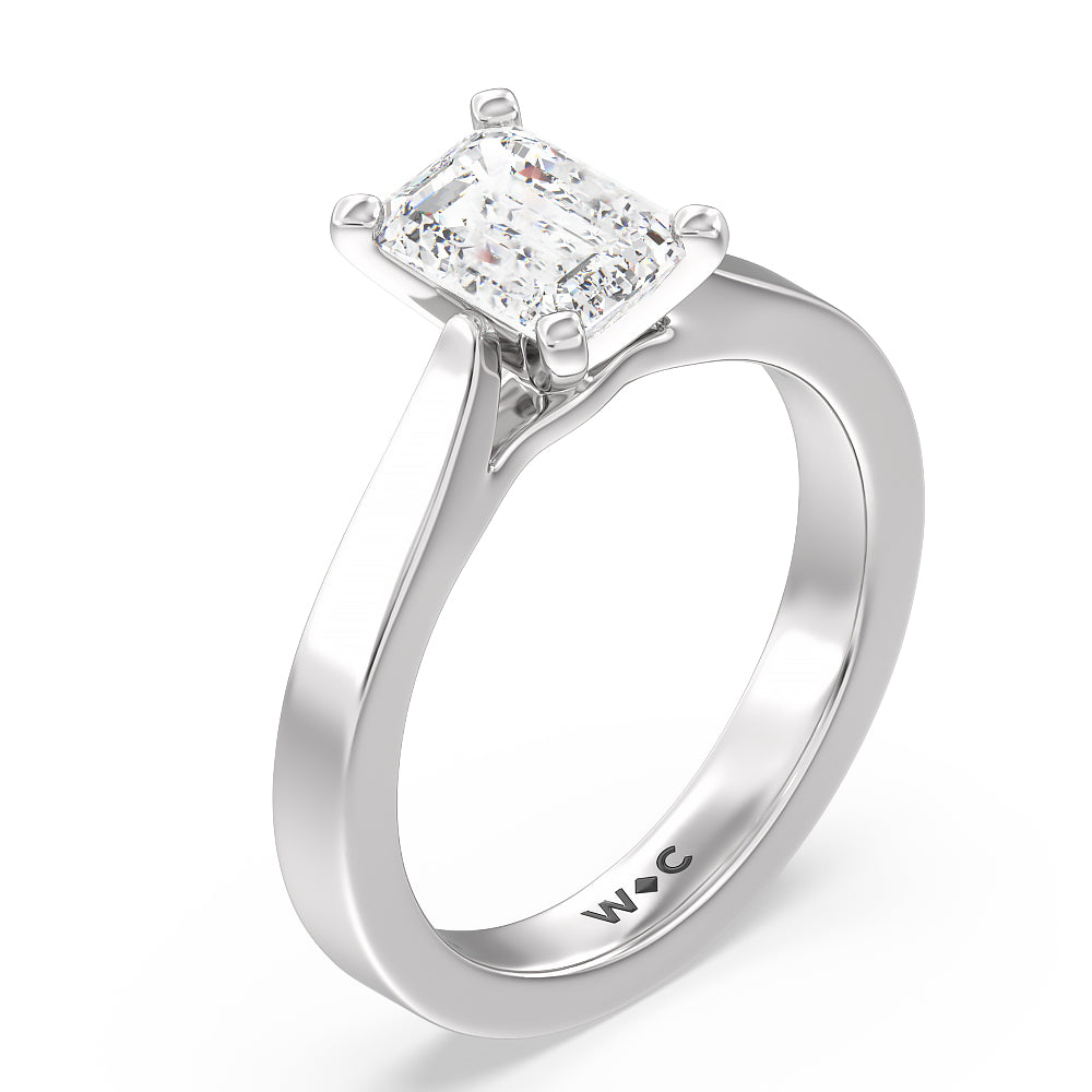 Maxi Sleek Cathedral Solitaire Engagement Ring with Emerald Cut Diamond in 14KT Platinum view 3
