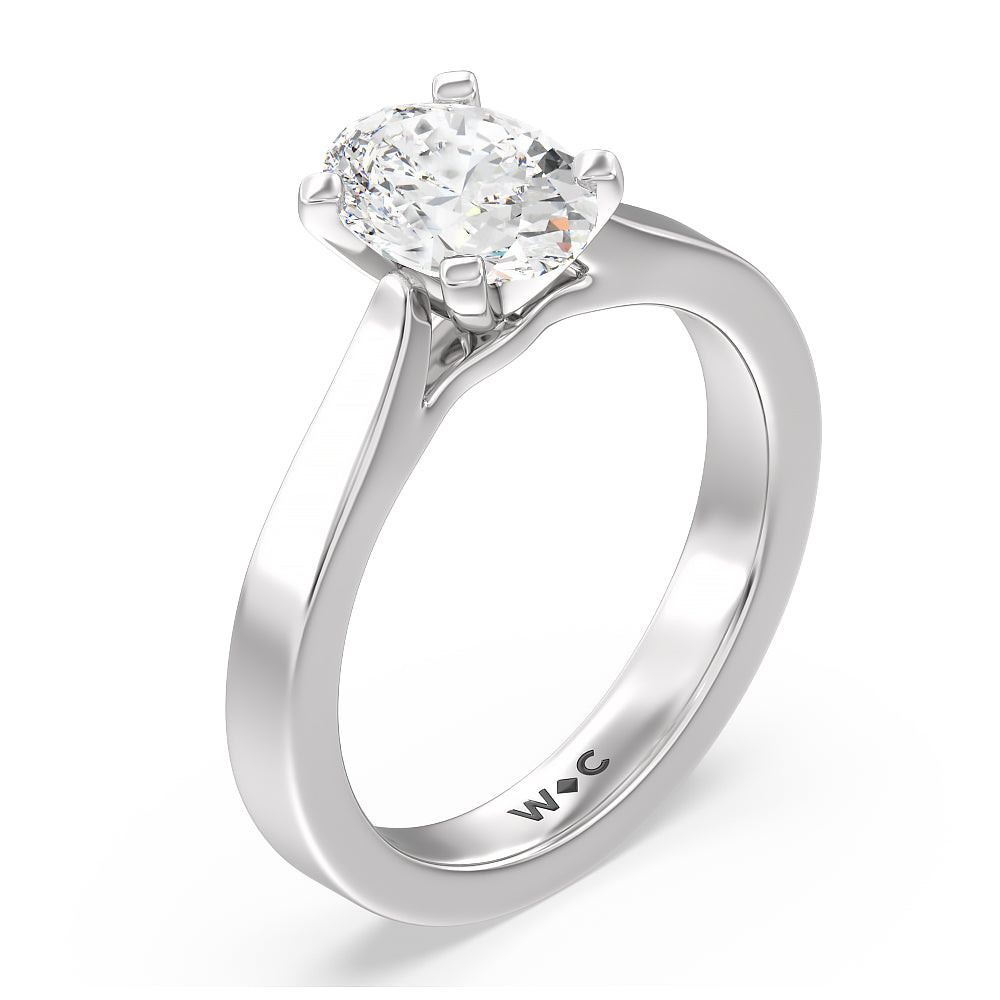 Maxi Sleek Cathedral Solitaire Engagement Ring with Oval Cut Diamond in 14KT Platinum view 3
