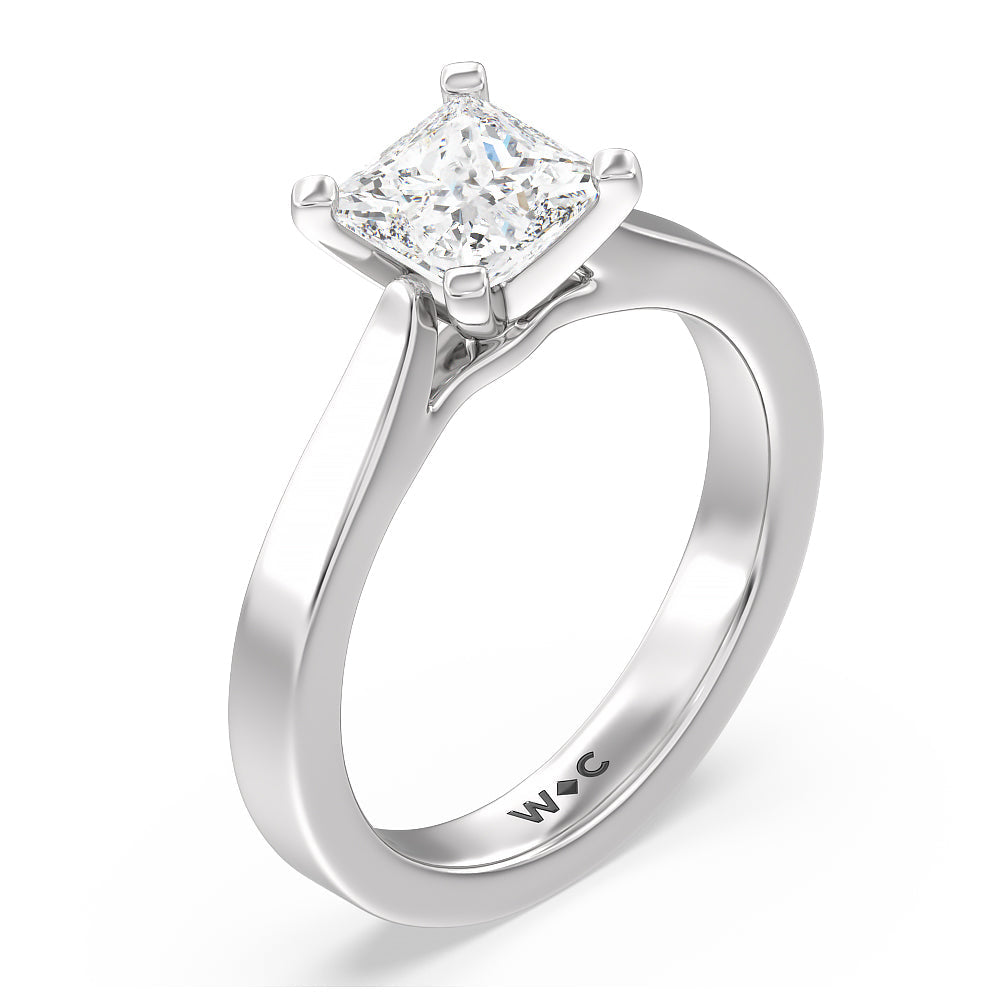 Maxi Sleek Cathedral Solitaire Engagement Ring with Princess Cut Diamond in 14KT Platinum view 3
