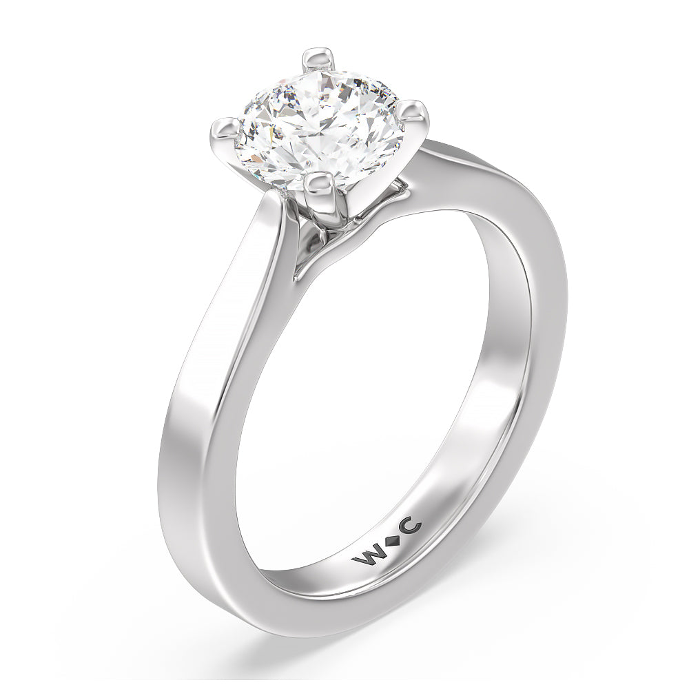Maxi Sleek Cathedral Solitaire Engagement Ring with Round Cut Diamond in 14KT Platinum view 3
