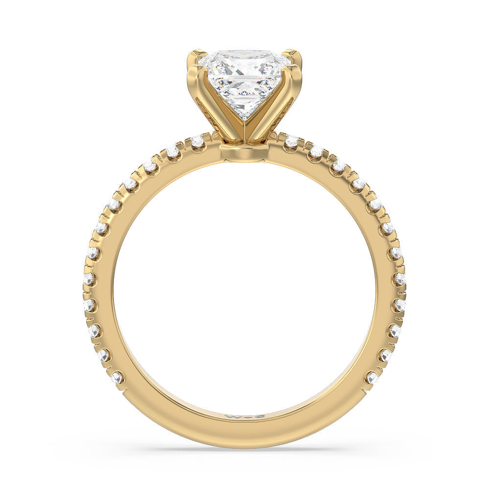 Ara Medi Micro Pave Diamond Engagement Ring with Princess Cut Diamond in 14KT Yellow Gold view 2
