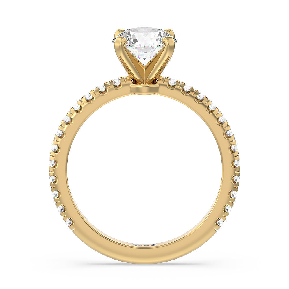 Ara Medi Micro Pave Diamond Engagement Ring with Round Cut Diamond in 14KT Yellow Gold view 2
