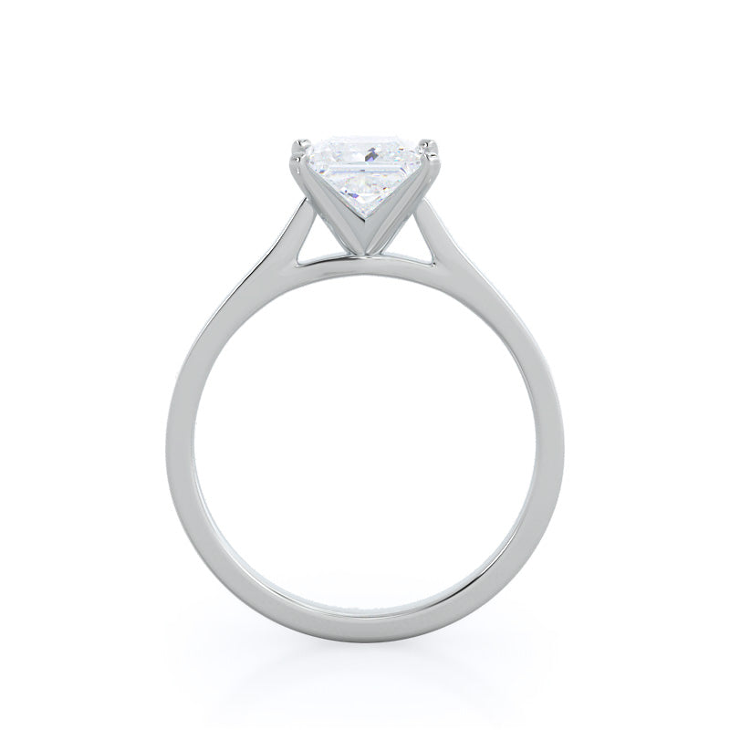 Princess Cut Sleek Cathedral Solitaire Engagement Ring with Lab Grown Diamond in 14KT Platinum view 2
