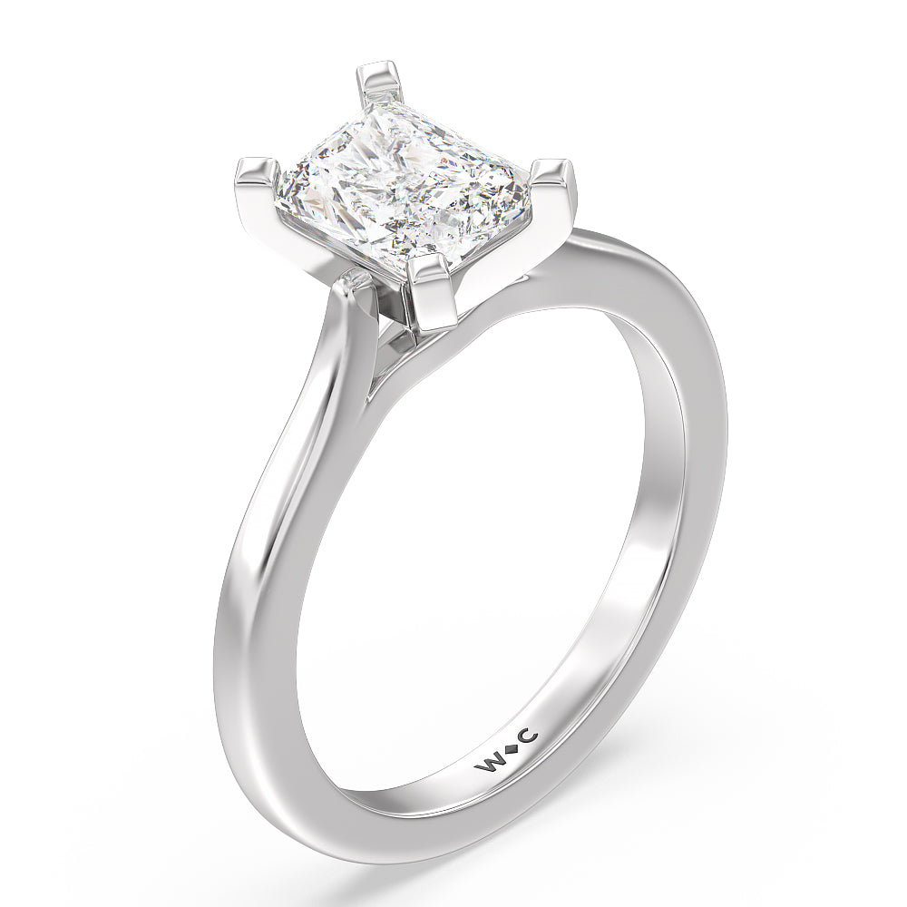 Radiant Cut Sleek Cathedral Solitaire Engagement Ring with Lab Grown Diamond in 14KT Platinum view 3

