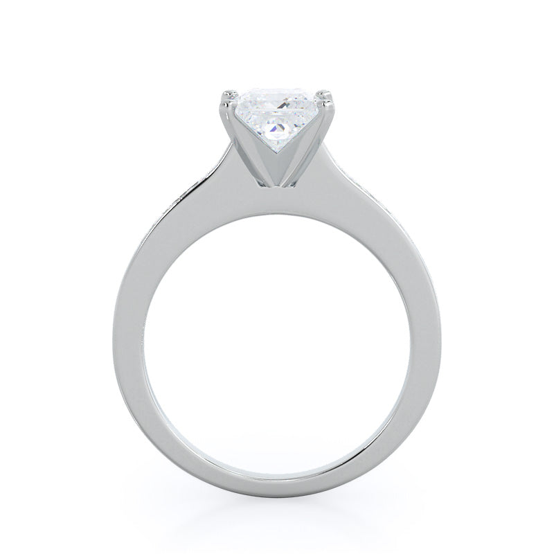 Princess Cut Princess Studded Engagement Ring with Lab Grown Diamond in 14KT Platinum view 2
