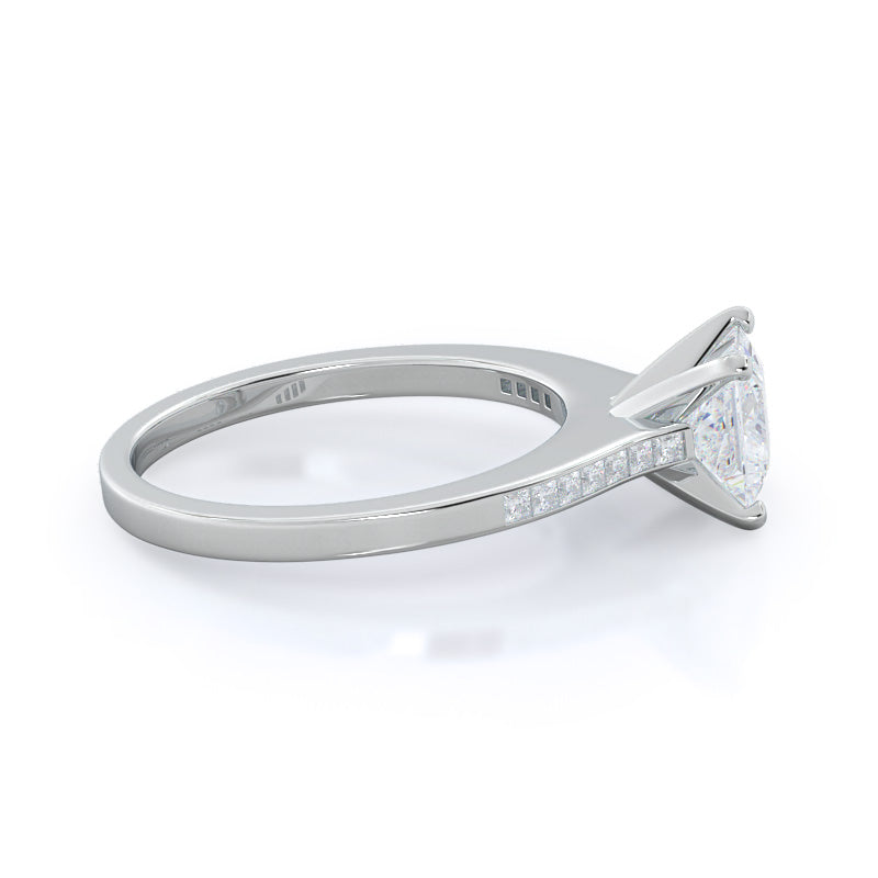 Princess Cut Princess Studded Engagement Ring with Lab Grown Diamond in 14KT Platinum view 3
