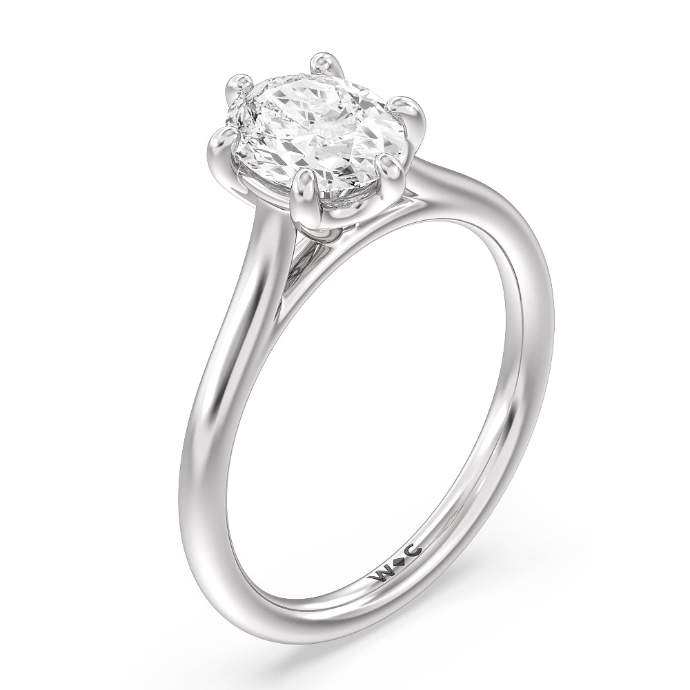 Oval Cut Six Prong Cathedral Basket Engagement Ring with Lab Grown Diamond in 14KT Platinum view 5
