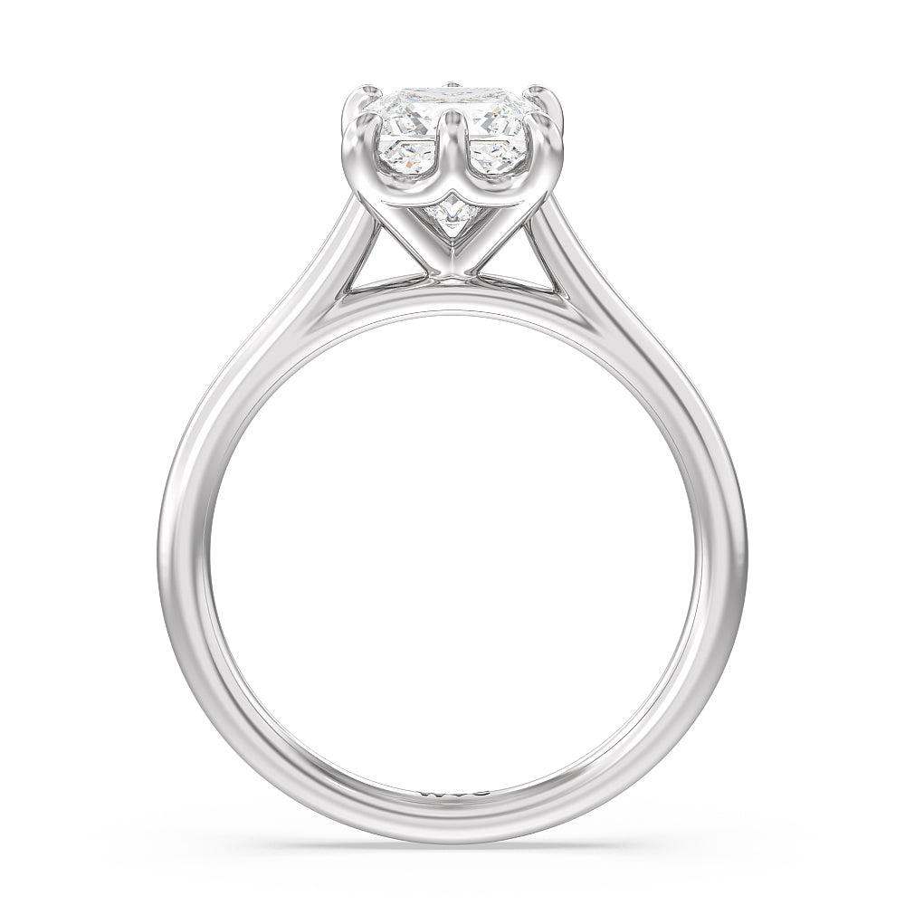 Princess Cut Six Prong Cathedral Basket Engagement Ring with Lab Grown Diamond in 14KT Platinum view 4
