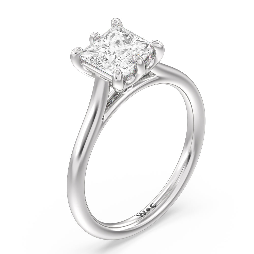 Princess Cut Six Prong Cathedral Basket Engagement Ring with Lab Grown Diamond in 14KT Platinum view 5

