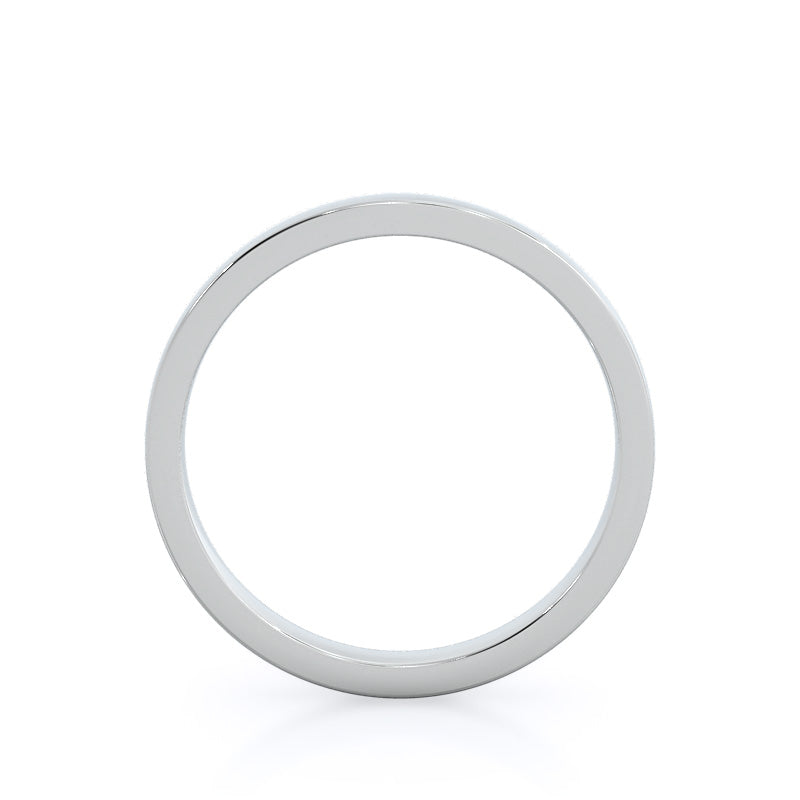 Smooth Edge Cathedral Wedding Band with Platinum Cut Diamond in 14KT Platinum view 2
