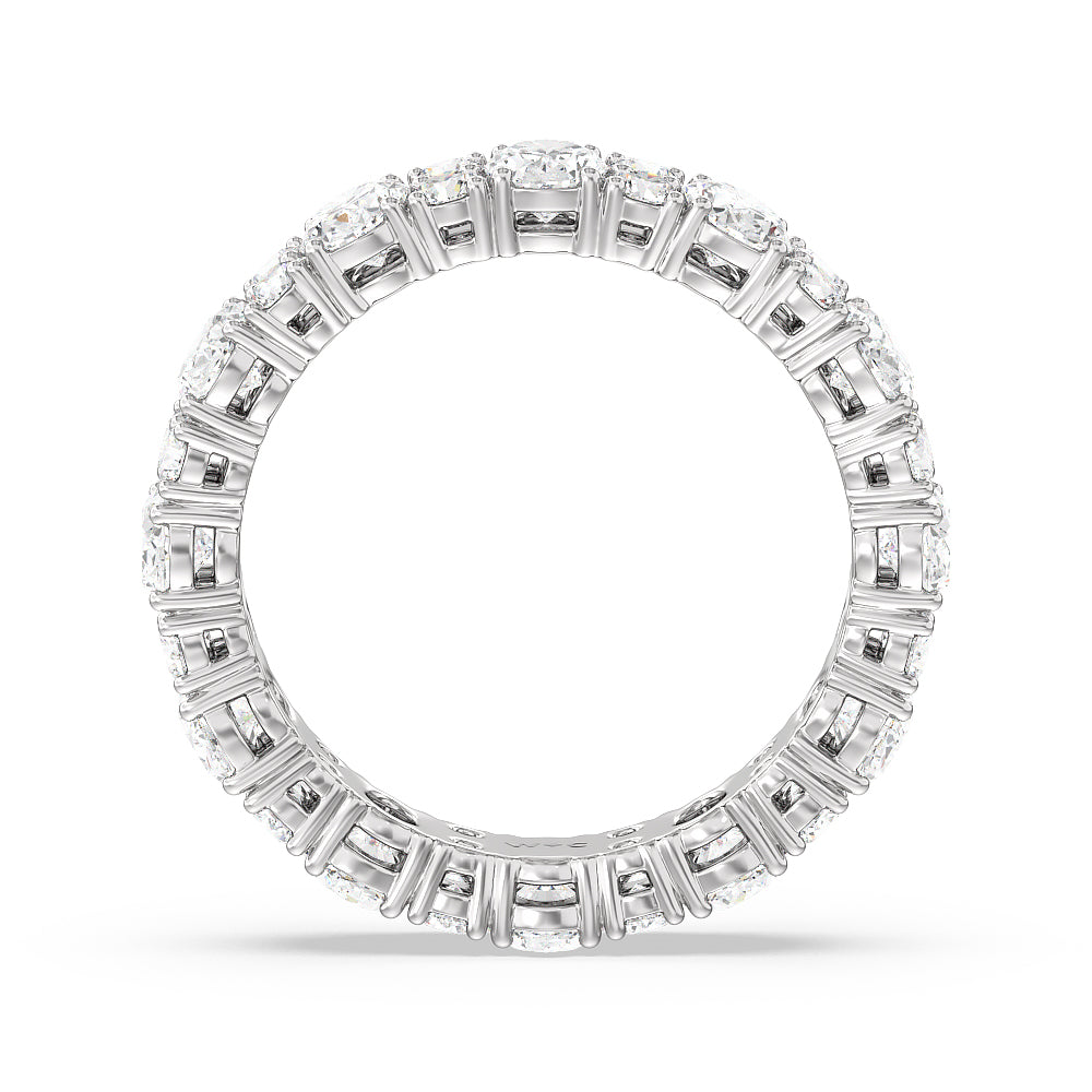 Oval & Rounds Station Eternity Ring with Platinum / Natural / 4 Cut Diamond in 14KT Platinum / Natural / 4 view 3
